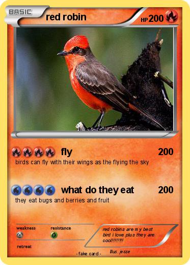 Pokemon red robin