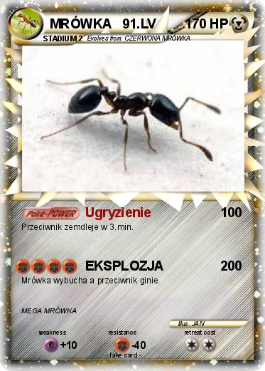 Pokemon MRÓWKA   91.LV
