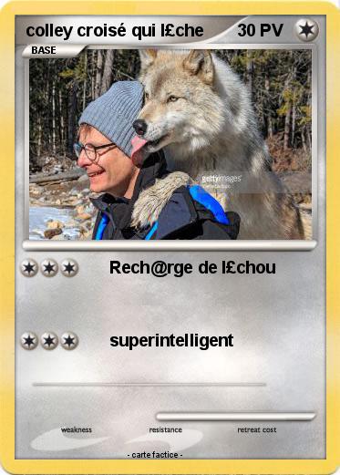 Pokemon colley croisé qui l£che