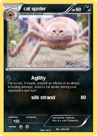 Pokemon cat spider
