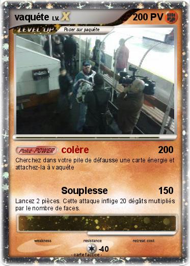 Pokemon vaquéte