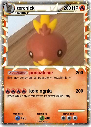Pokemon torchick