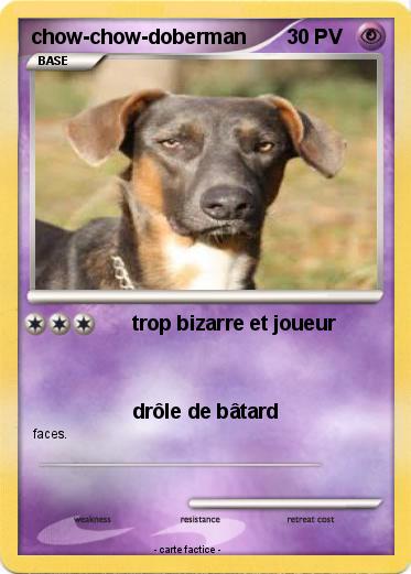 Pokemon chow-chow-doberman