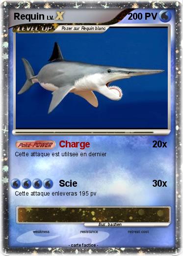 Pokemon Requin