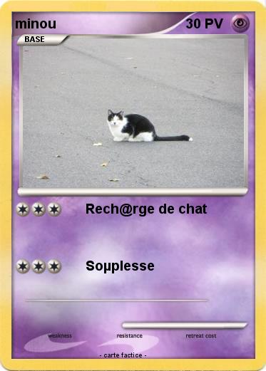Pokemon minou
