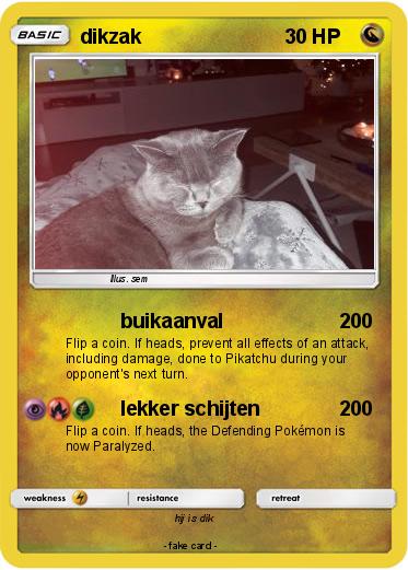 Pokemon dikzak