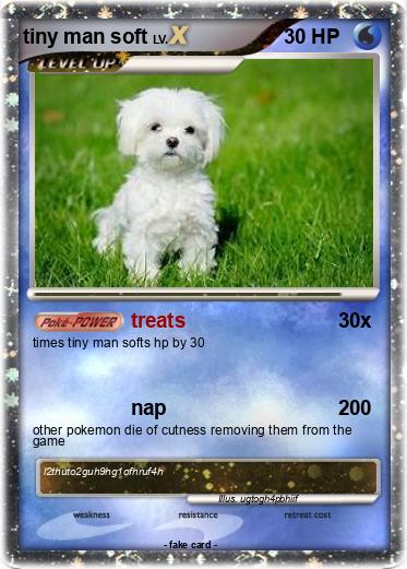 Pokemon tiny man soft