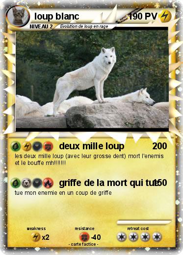 Pokemon loup blanc