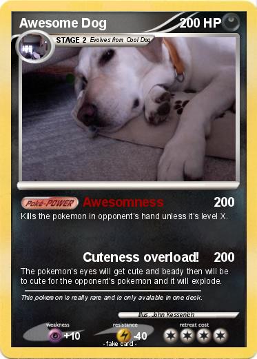 Pokemon Awesome Dog