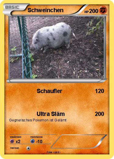Pokemon Schweinchen