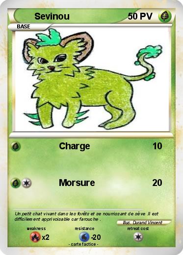 Pokemon Sevinou