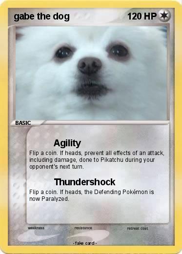 Pokemon gabe the dog