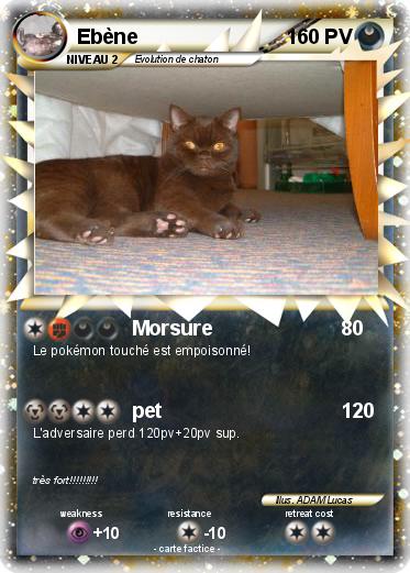 Pokemon Ebène