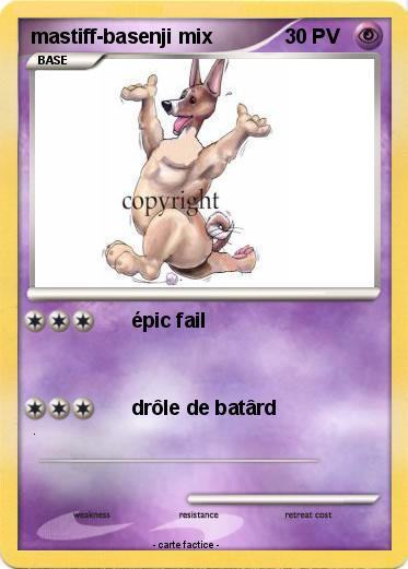 Pokemon mastiff-basenji mix