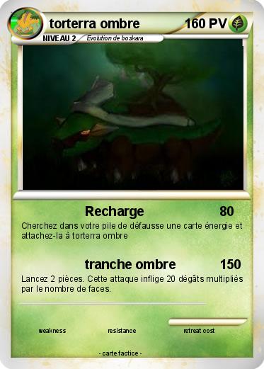 Pokemon torterra ombre