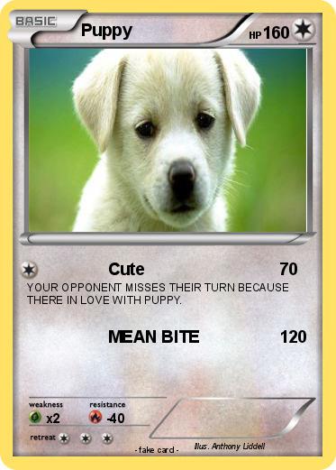 Pokemon Puppy