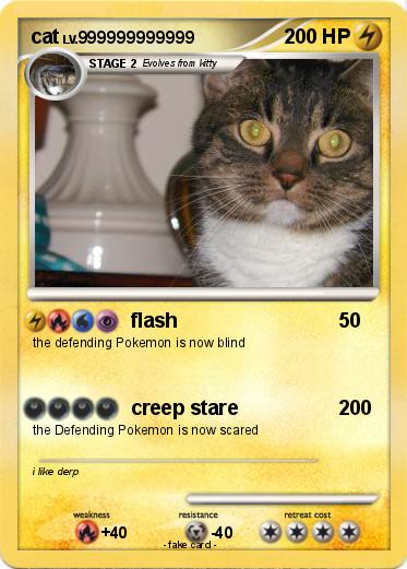 Pokemon cat