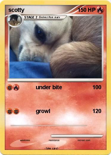 Pokemon scotty