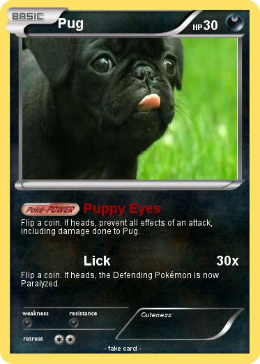 Pokemon Pug
