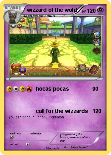 Pokemon wizzard of the wold