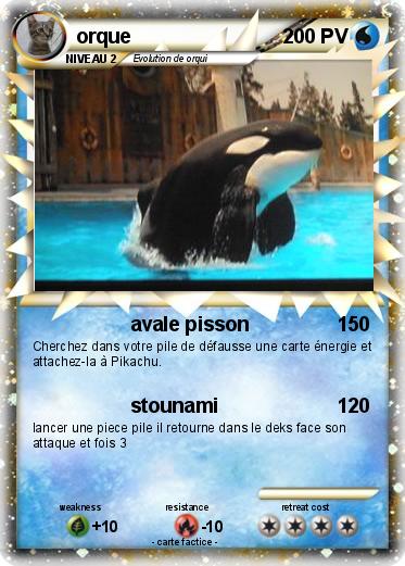 Pokemon orque