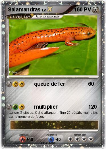Pokemon Salamandras
