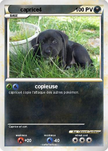 Pokemon caprice4