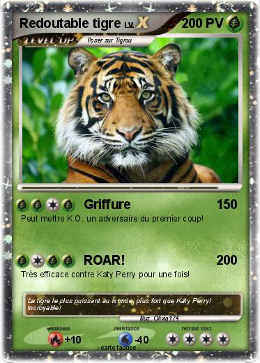 Pokemon Redoutable tigre