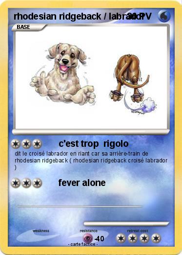 Pokemon rhodesian ridgeback / labrador