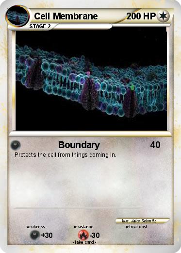 Pokemon Cell Membrane