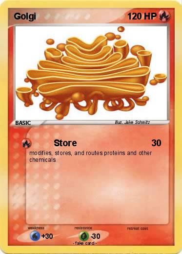 Pokemon Golgi