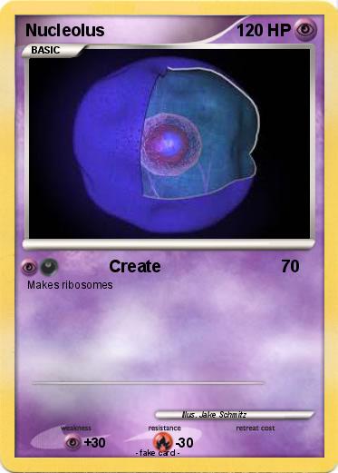 Pokemon Nucleolus