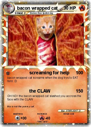Pokemon bacon wrapped cat