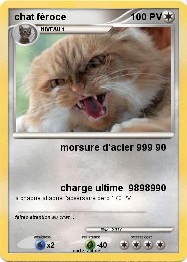 Pokemon chat féroce