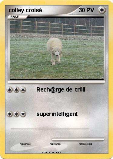 Pokemon colley croisé