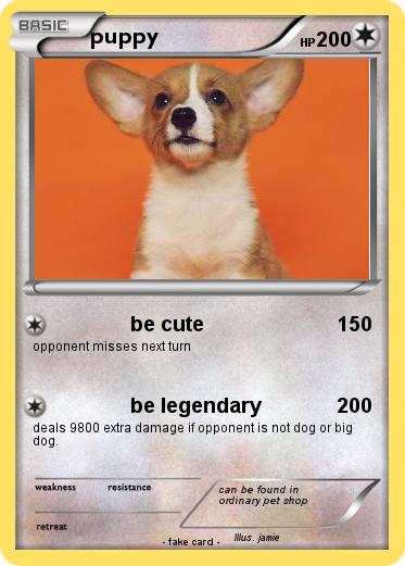 Pokemon puppy