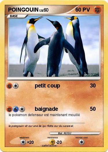 Pokemon POINGOUIN