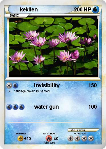 Pokemon keklien
