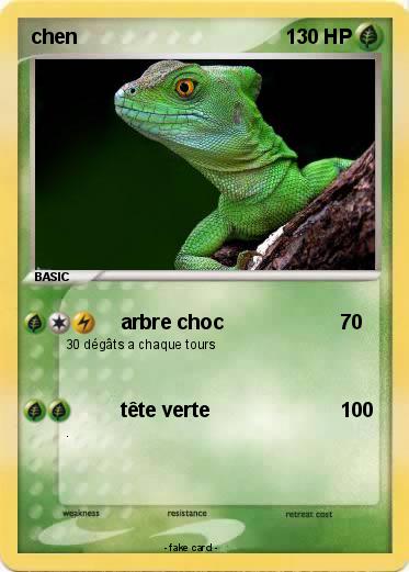 Pokemon chen