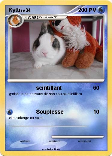 Pokemon Kytti