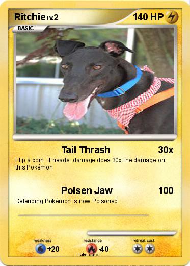 Pokemon Ritchie
