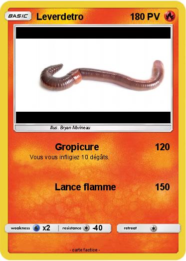 Pokemon Leverdetro