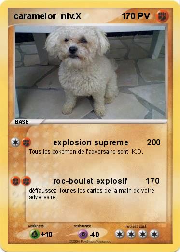 Pokemon caramelor  niv.X                1  