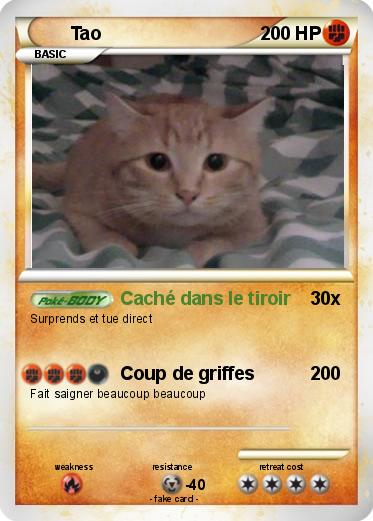 Pokemon Tao