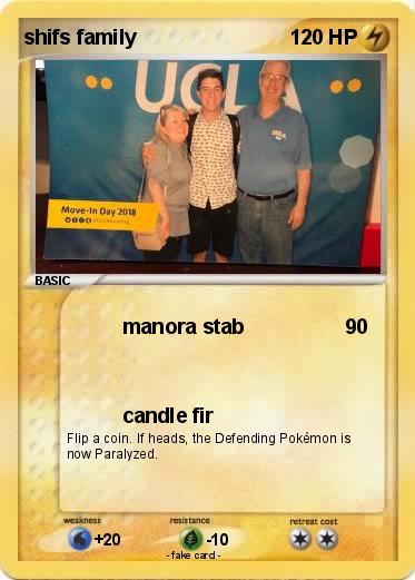 Pokemon shifs family