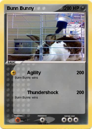 Pokemon Bunn Bunny
