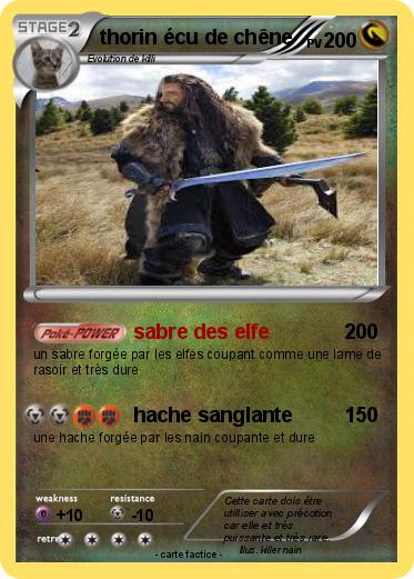 Pokemon thorin écu de chêne