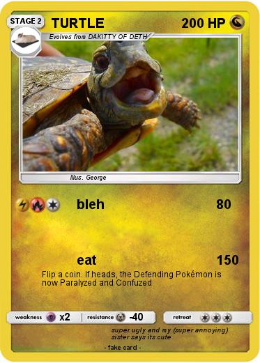 Pokemon TURTLE