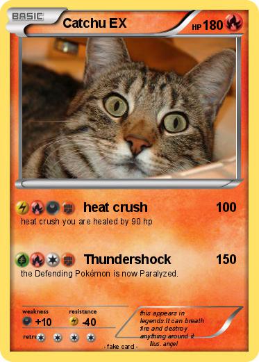 Pokemon Catchu EX
