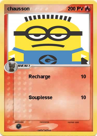 Pokemon chausson
